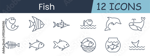 Fish set icon. Collection with fish silhouette, angelfish, swordfish, fish jumping, dolphin, whale, skeleton, aquarium bowl, fish tail, sea life.
