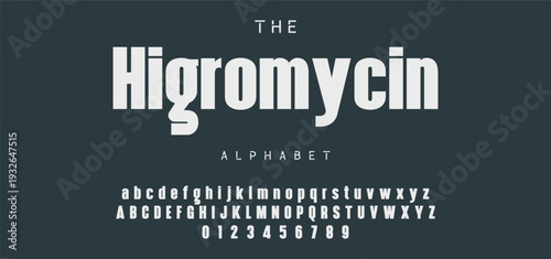 Digital modern alphabet font. Creative abstract urban, futuristic, fashion, sport, minimal technology typography.  Simple vector illustration with number