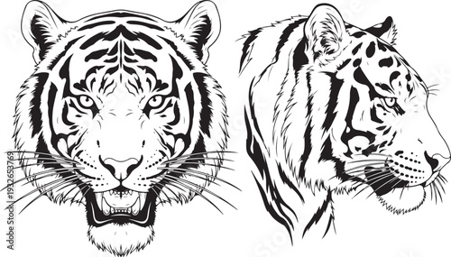 tiger realistic line art side face tattoo black flat vector art