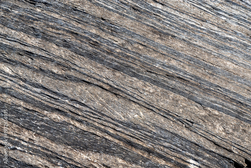 Foto Metamorphic rock surface showing natural patterned texture