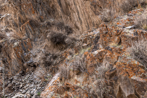 Fotografía Rugged rocky terrain features sparse plants thriving in a desolate mountainous landscape