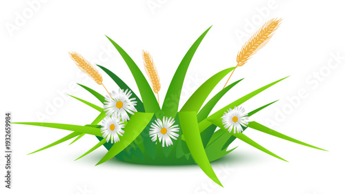 Easter grass flower composition. Green grass, wheat stems cluster, white flowers with yellow centers. Spring meadow. Summer lawn. Realistic vector illustration