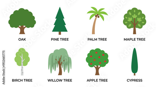 Tree Icon Set – Botanical Illustrations Featuring Oak, Pine, Palm, Willow, Fruit Tree, and Cypress for Nature Graphics, Landscaping Designs, and Educational Projects