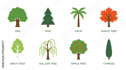 Tree Icon Set – Botanical Illustrations Featuring Oak, Pine, Palm, Willow, Fruit Tree, and Cypress for Nature Graphics, Landscaping Designs, and Educational Projects