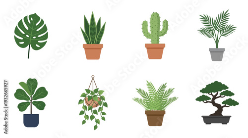 Potted Plant Icon Set – Botanical Illustrations Featuring Cactus, Bonsai, Fern, Monstera, and Hanging Vines for Nature Graphics, Home Decor, and Garden Projects