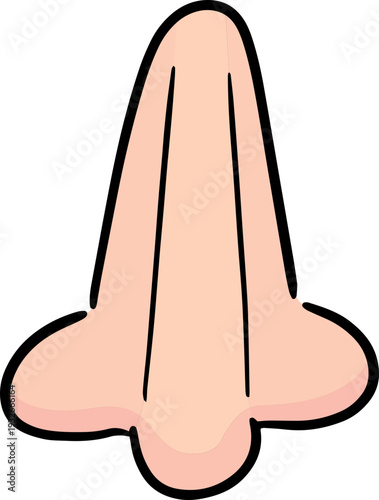Hand drawn illustration of nose