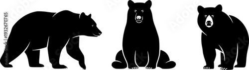 Wild Bear Silhouette Set - Walking, Sitting and Roaring Predator Wildlife Vector