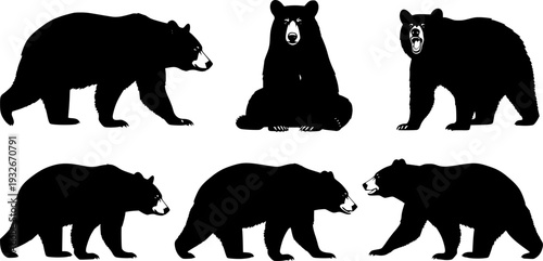 Wild Bear Silhouette Set - Walking, Sitting and Roaring Predator Wildlife Vector