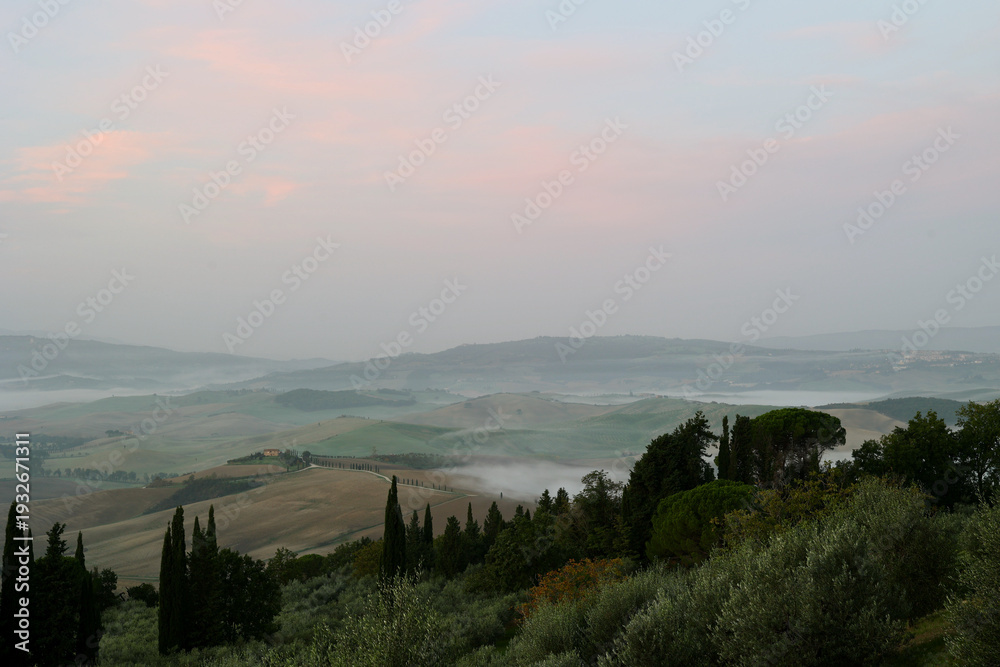 Naklejka premium Soft autumn light illuminates the rolling hills of the Val d’Orcia near Pienza in the Province of Siena, Tuscany, Italy.