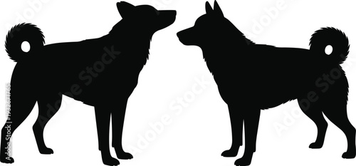 Husky dog silhouette set isolated on white for pet grooming branding, sled dog racing logo, animal shelter icon, and canine