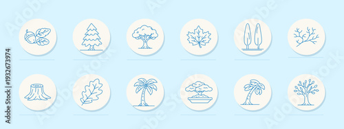 Trees and plants set icon. Oak leaf, maple leaf, palm tree, bonsai, branch, bare tree, evergreen, stump, shrub, botanical outline collection.