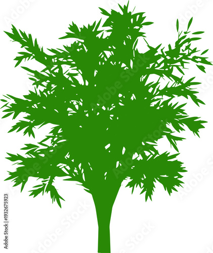 Isolated a Realistic princess tree vector art with white background