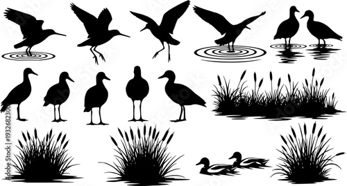 Water Bird Silhouette Set - Heron, Crane, and Duck Wildlife Vector Collection