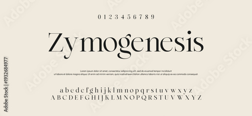 Elegant ligature alphabet letters font logo. Typography luxury classic lettering serif fonts decorative wedding vintage retro logos, design for fashion,beauty shop and brand . vector illustration