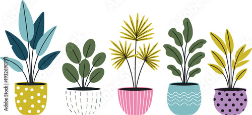 Modern houseplant collection in decorative pots with colorful indoor foliage flat vector illustration set isolated on dark background