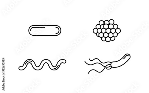Microscopic organisms and their shapes, including bacilli, cocci, spirilla, and flagellated bacteria