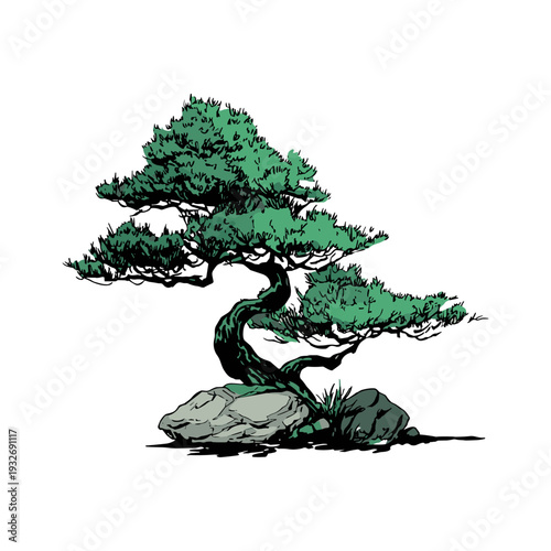Artistic illustration of a stylized bonsai tree with lush green foliage and textured rocks