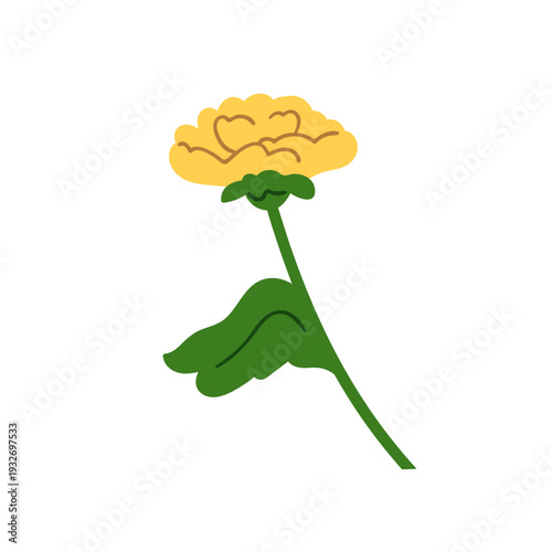 Flower blossom. Floral plant, garden bloom, leaf and stem. Delicate spring na...