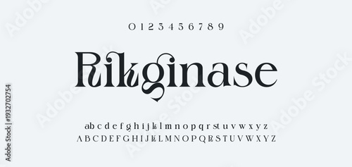 Elegant Font Uppercase Lowercase and Number. Classic Lettering Minimal Fashion Designs. Typography modern serif fonts regular decorative vintage concept. vector illustration