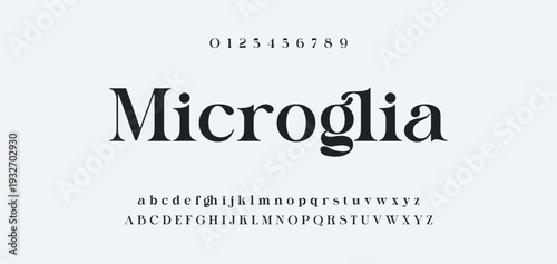 Elegant Font Uppercase Lowercase and Number. Classic Lettering Minimal Fashion Designs. Typography modern serif fonts regular decorative vintage concept. vector illustration