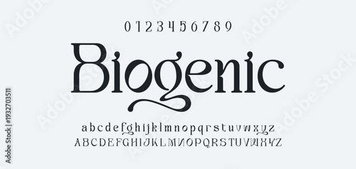 Elegant Font Uppercase Lowercase and Number. Classic Lettering Minimal Fashion Designs. Typography modern serif fonts regular decorative vintage concept. vector illustration