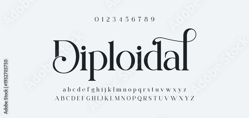 Elegant Font Uppercase Lowercase and Number. Classic Lettering Minimal Fashion Designs. Typography modern serif fonts regular decorative vintage concept. vector illustration