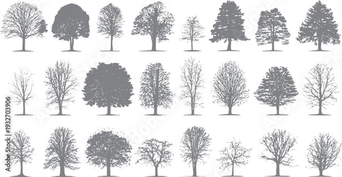 Collection of diverse grey tree silhouettes in various shapes and sizes. Detailed branches and foliage patterns