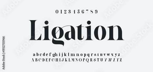 Elegant Font Uppercase Lowercase and Number. Classic Lettering Minimal Fashion Designs. Typography modern serif fonts regular decorative vintage concept. vector illustration