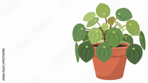 Green potted plant with vibrant round leaves in rustic clay pot. Modern potted plant illustration adds freshness to interior design projects and home decor concepts.