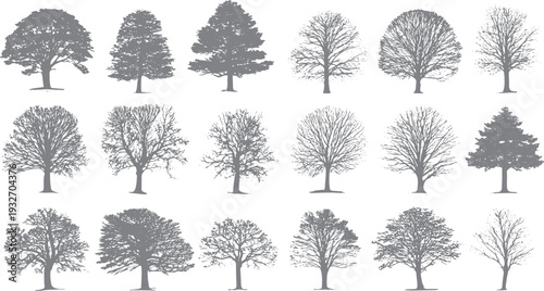 Collection of grey deciduous and coniferous tree silhouettes in various shapes and sizes