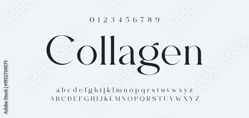 Elegant Font Uppercase Lowercase and Number. Classic Lettering Minimal Fashion Designs. Typography modern serif fonts regular decorative vintage concept. vector illustration