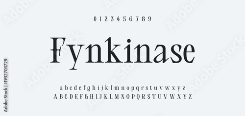 Elegant Font Uppercase Lowercase and Number. Classic Lettering Minimal Fashion Designs. Typography modern serif fonts regular decorative vintage concept. vector illustration