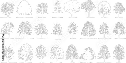 Collection of diverse tree outlines in black and white line style. Various tree shapes and densities of foliage are depicted