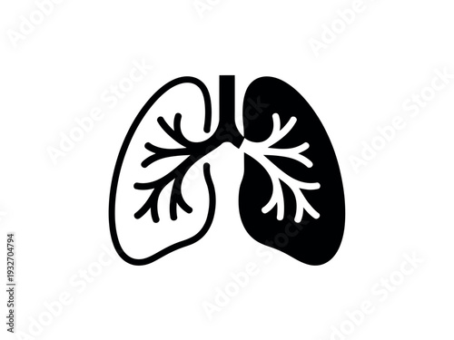 Human lungs illustration with trachea and bronchi, black and white medical diagram