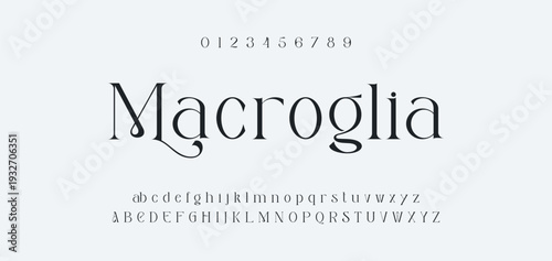 Elegant Font Uppercase Lowercase and Number. Classic Lettering Minimal Fashion Designs. Typography modern serif fonts regular decorative vintage concept. vector illustration