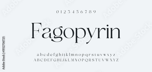 Elegant Font Uppercase Lowercase and Number. Classic Lettering Minimal Fashion Designs. Typography modern serif fonts regular decorative vintage concept. vector illustration