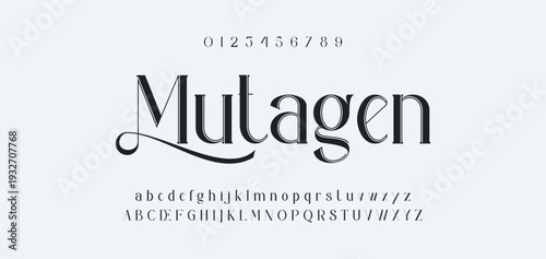 Elegant Font Uppercase Lowercase and Number. Classic Lettering Minimal Fashion Designs. Typography modern serif fonts regular decorative vintage concept. vector illustration