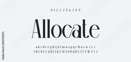 Elegant Font Uppercase Lowercase and Number. Classic Lettering Minimal Fashion Designs. Typography modern serif fonts regular decorative vintage concept. vector illustration