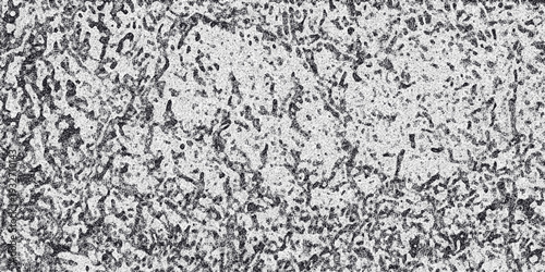 Detailed monochrome abstract texture with a dense network of irregular organic shapes and a fine grainy overlay for background use