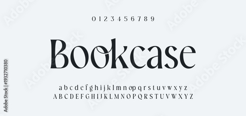 Elegant Font Uppercase Lowercase and Number. Classic Lettering Minimal Fashion Designs. Typography modern serif fonts regular decorative vintage concept. vector illustration