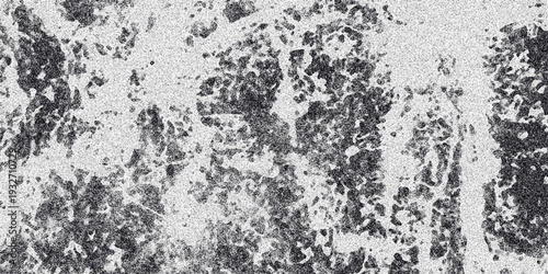 Organic grayscale abstract texture resembling distressed paint or natural formations with a granular overlay for grunge or artistic backgrounds