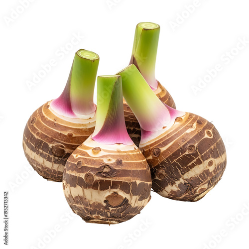 A close up of four taro roots with pink and green hues showcasing their unique texture on transparent background