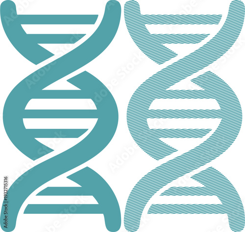 Two teal D N A helix one solid one striped molecule