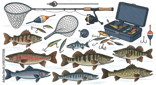 Fishing gear and various fish species, ready for angling adventures and outdoor recreation.