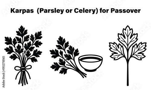 Karpas parsley celery for Passover Seder celebration