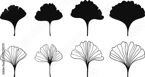 Ginkgo biloba leaf silhouette set isolated on white background. Botanical fan shaped foliage in black and outline style. Natural plant illustration collection for herbal design and eco branding.