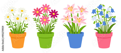 Flat vector set of four colorful flower pots with blooming spring flowers, isolated on white. Bright home decor and gardening concept for nature backgrounds.