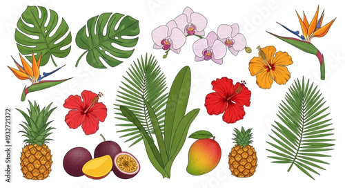 Tropical flora and fauna arrangement showcasing vibrant flowers, fruits, and foliage elements.