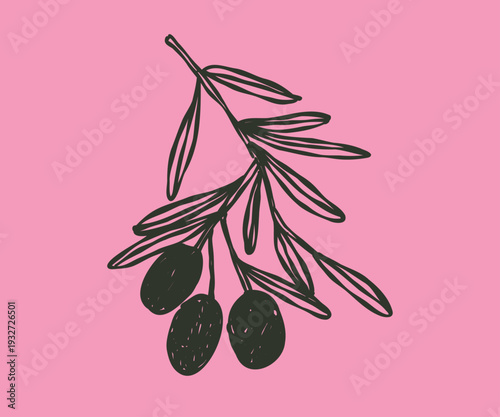 Doodle whimsical branch olives. Hand drawn illustration.