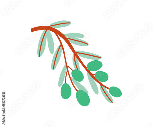 Flat funky doodle green branch olives. Hand drawn illustration.